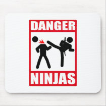 Danger Ninjas