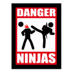 Danger Ninjas Post Cards