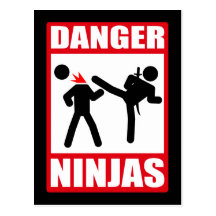 Danger Ninjas Post Cards