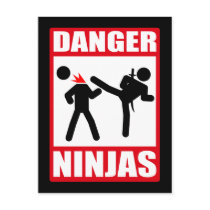 Danger Ninjas