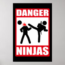 Danger Ninjas