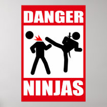 Danger Ninjas