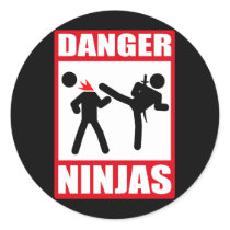 Danger Ninjas