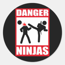 Danger Ninjas Sticker