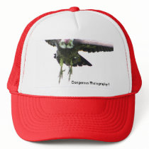 Dangerous Photography ! Trucker Hats