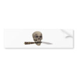 DangerSkull082309 bumper stickers