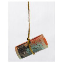 Dangling Australian Dollar Full Color Flyer