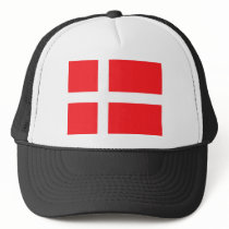 Danish Flag