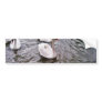 Danube Birds Swans Bumper Stickers