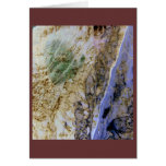 Daphnaie Emerging - notecard