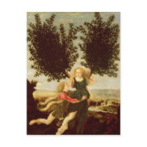Daphne and Apollo, c.1470-80 Post Cards