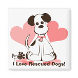 Daphne the Adopted Dog magnets
