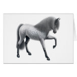 Dapple Grey Andalusian Horse cards