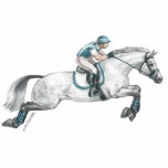 Dapple Grey Eventing Horse Jumping photo sculptures