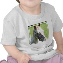Dappled Appaloosa Horse Baby T-Shirt