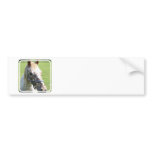 Dappled Appaloosa Horse Bumper Stickers