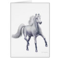 Dappled Grey Arabian Horse Card