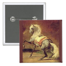 DAPPLED GREY HORSE BUTTON