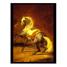 DAPPLED GREY HORSE POST CARD