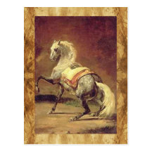 DAPPLED GREY HORSE POSTCARDS