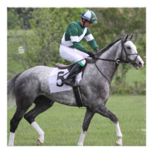 Dappled Grey Race Horse Invitations