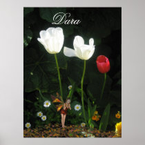 Dara Posters