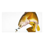DAREDEVIL slogans#11-redfish-cutout photo cards