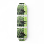 Dark Bay Horse Skateboard