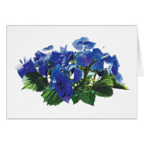 Dark Blue Hydrangea Lace Cap Greeting Card