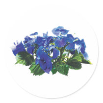 Dark Blue Hydrangea Lace Cap Round Stickers