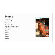 Dark Brown Horse Business Card