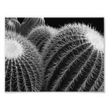 Dark Desert. Photo Art