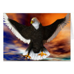 Dark Eagle cards