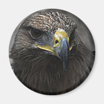 Dark Eagle Fridge Magnet