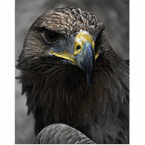 Dark Eagle