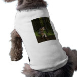 Dark Elf Pet Clothing pet clothing