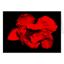 Dark Flower Greeting Cards