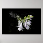 dark flower print