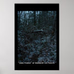 Dark Forest Poster