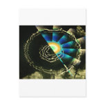 Dark galaxy viewed through alternative light post card