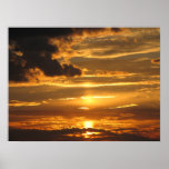 Dark Gold posters