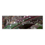 Dark Green Fireweed Leaf with Water Droplets business cards