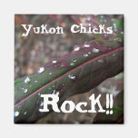Dark Green Fireweed Leaf with Water Droplets Refrigerator Magnets