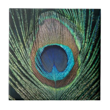 Dark Green Peacock Feather Tile