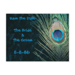 Dark Green Peacock Feathers Save the Date postcards