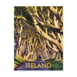 Dark Hedges Postcard