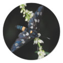dark moth stickers