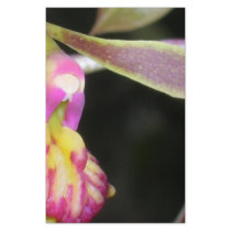 dark orchid personalized flyer