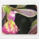 dark orchid mousepads