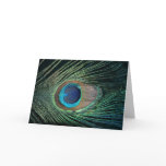 Dark Peacock Feather Card